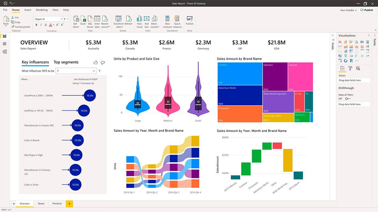 Paneles Power BI